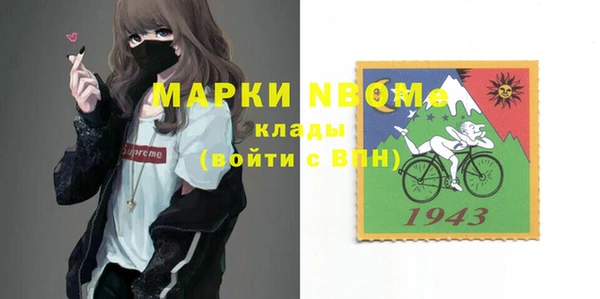 хмурый Новозыбков