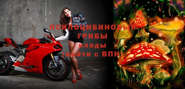 apvp Алексеевка
