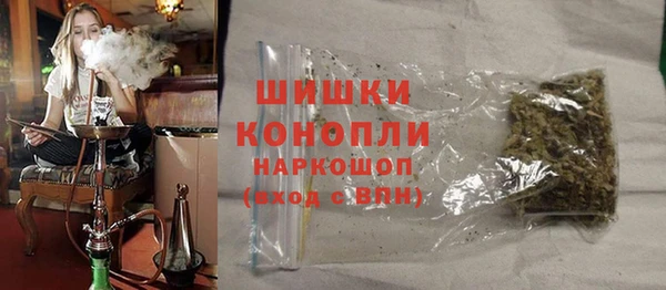 ешки Новодвинск