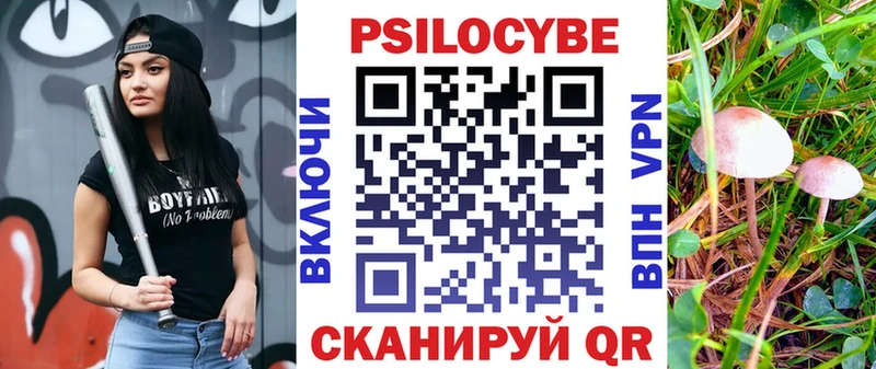 Псилоцибиновые грибы GOLDEN TEACHER купить цена Пудож