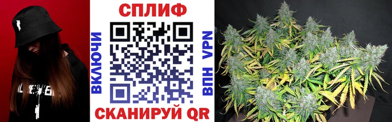 Шишки марихуана тримм  Пудож 
